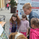Gyereknap a Magyar utcán (Fotó: Nagy Mária)