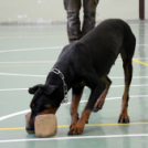 Az ókor titkai című történelmi vetélkedő