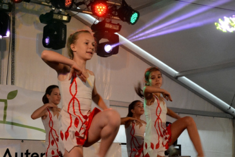 Majoroki Fesztivál (Fotó: Bánhegyi István)