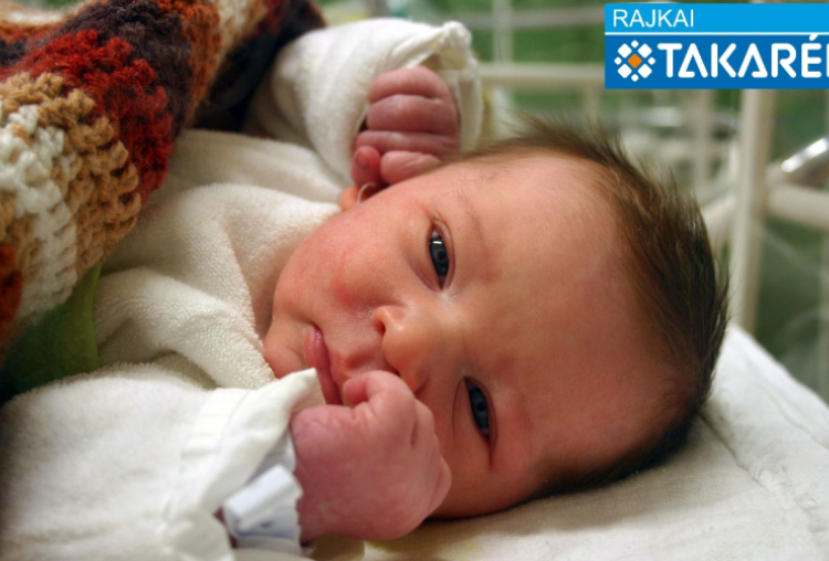 Kránitz Levente, Farád