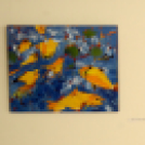 Szigetközi tájak és hangulatok