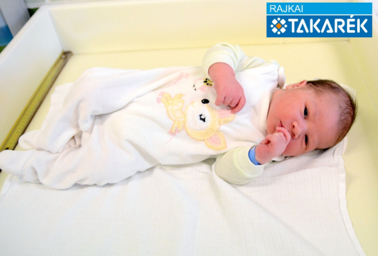 Uccheddu Valentino, Mosonmagyaróvár