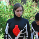 IV. Karolina Day (Fotó: Nagy Mária)