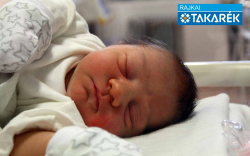 Hérics Luca, Mosonmagyaróvár