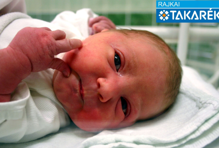 Kálé Abigél Judit, Mosonmagyaróvár