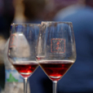 Szigetköz ízei, vármegye borai fesztivál / VÁRMEGYE SZÉPE - VÁRMEGYE HANGJA (Fotó: Horváth Attila)