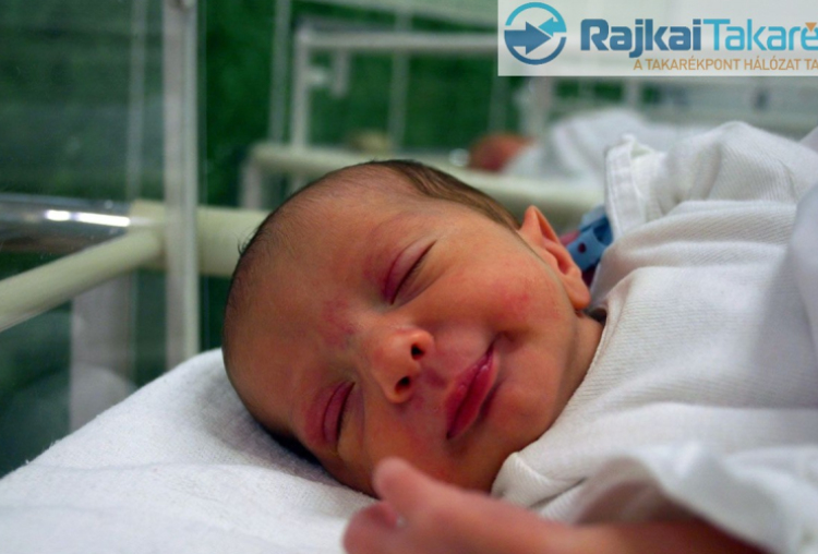 Németh Gergely István, Dunasziget