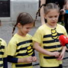 Apró kezek, csodakertek kertépítő verseny (Fotó: Horváth Attila)