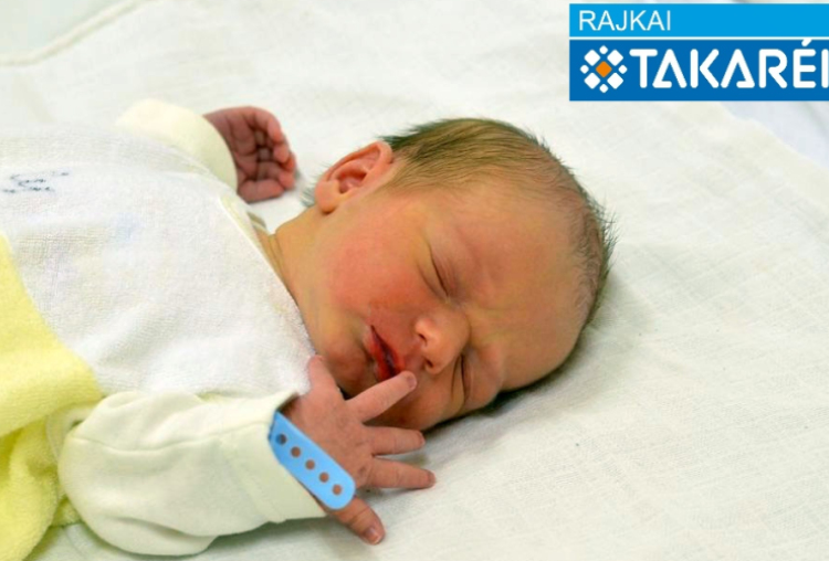 Bükki Nimród, Kapuvár