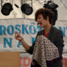 VÁROSKÖZPONTIAK NAPJA 2016, 2 nap (Fotó: Bánhegyi István)