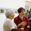 Téli tárlat - évzáró kiállítás (fotó: Horváth Attila)