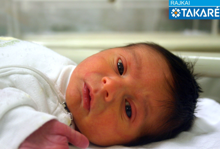 Gyovai Ferenc, Bősárkány