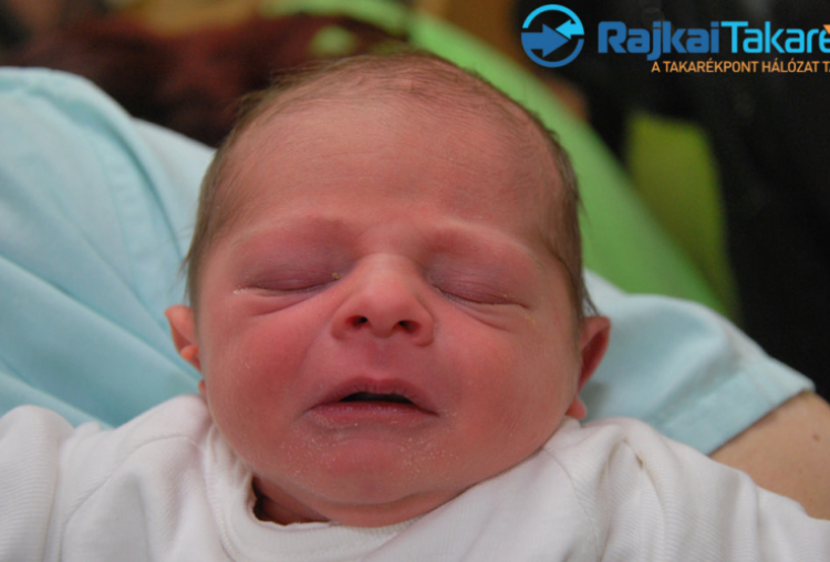 Frenner Dominik Noel, 3100 gr. Halászi