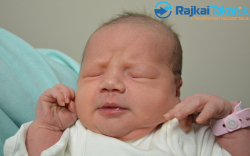 Vass Hanna, 3300 gr. Jánossomorja