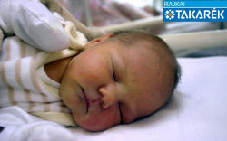 Gősi Bertalan, Bősárkány