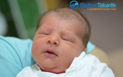 Denhardt Ferenc, Ásványráró