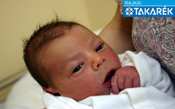 Kovács Tamás, Mosonmagyaróvár