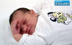 Tarsoly Rebeka, Levél