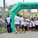 XII. Greiner Szigetköz Minimaraton (Fotó: Horváth Attila)