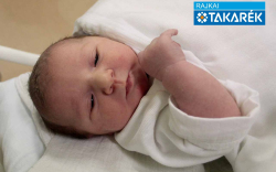 Kálmán Hanna, Babót