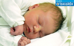 Varga Csongor, Püski