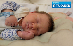 Németh Bulcsú, Lébény