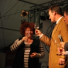 VII. Szigetköz ízei, Vármegye borai fesztivál péntek 2. (Fotó: Nagy Mária)