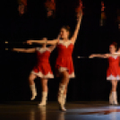 Ünnepi gálaműsor a tánc világnapja tiszteletére - Szigeti Gábor táncpedagógus emlékére