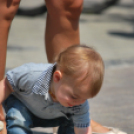 Belvárosi virágút (Fotó: Nagy Mária)