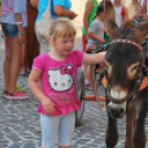 KULT - UTCA Hobbi nap (Fotó: Nagy Mária)