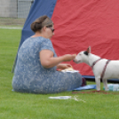 Mosonmagyaróvári Kutyakiállítás