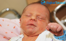 Kovács Péter, 3110 gr. Mosonmagyaróvár