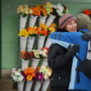 19. Országos Ölelés Nap  (Fotó: Nagy Mária)