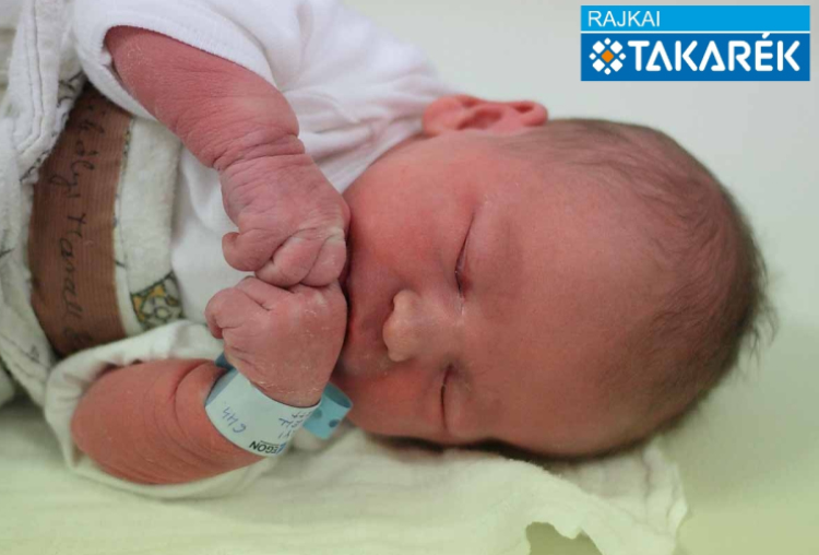 Mihályi Marcell Benett, Mosonmagyaróvár