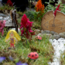 Apró kezek, csodakertek kertépítő verseny (Fotó: Horváth Attila)