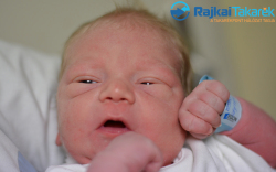 Nakovitz Balázs, 3200 gr. Lébény