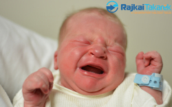 Szlavonics Zoltán Sándor, 3100 gr. Móvár