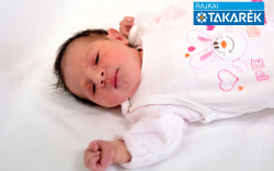 Katona Zoé Alexa, Halászi