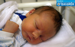 Kovács Patrik, Lébény