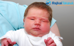 Wojnisek Loretta, 4320 gr. Kimle