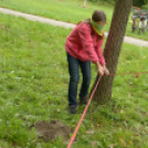Cserkész Piknik a Wittmann parkban (fotó: Horváth Attila)