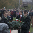 1956-os városi Megemlékezések és Gyásznap /Mosonmagyaróvár/