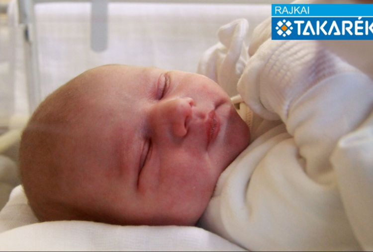 Horváth Dávid, Vitnyéd