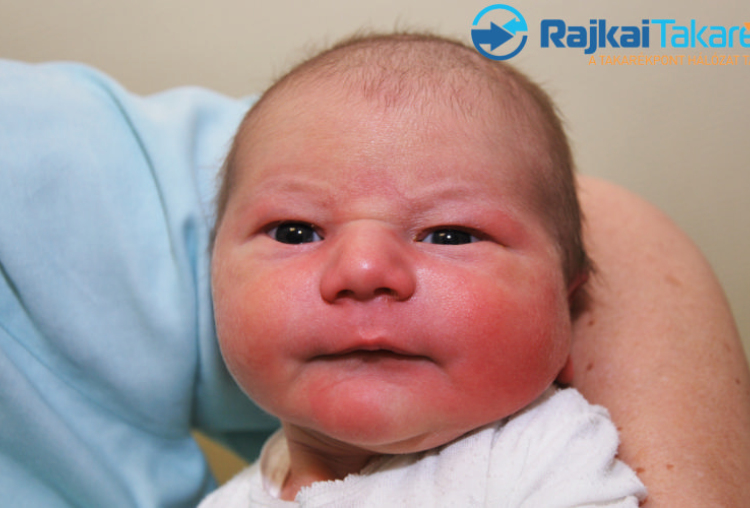 Onódi Máté, 3980 gr. Halászi