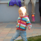 Alma Együttes koncert a Pillangó Óvodában 