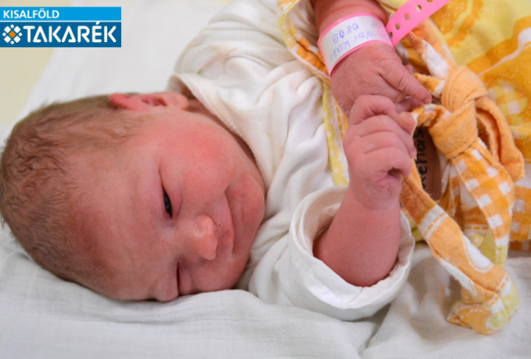 Szénási Kata, Kisbodak