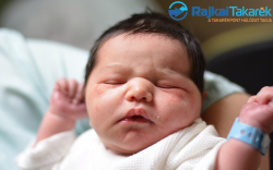 Pollhammer Magor, 3790 gr. Móvár