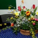 Ujhelyi Imre Általános Iskola - Életvitel és Gyakorlati ismeretek verseny megyei fordulója