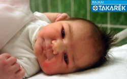 Bogár Hanna, Mosonmagyaróvár