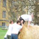 Parasztolimpia 2013 - 1 (Fotó: Nagy Mária)